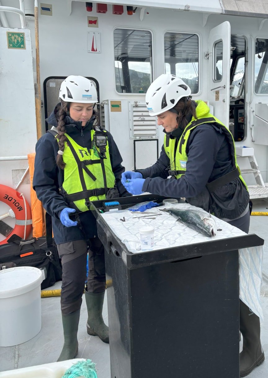 Fish health inspection