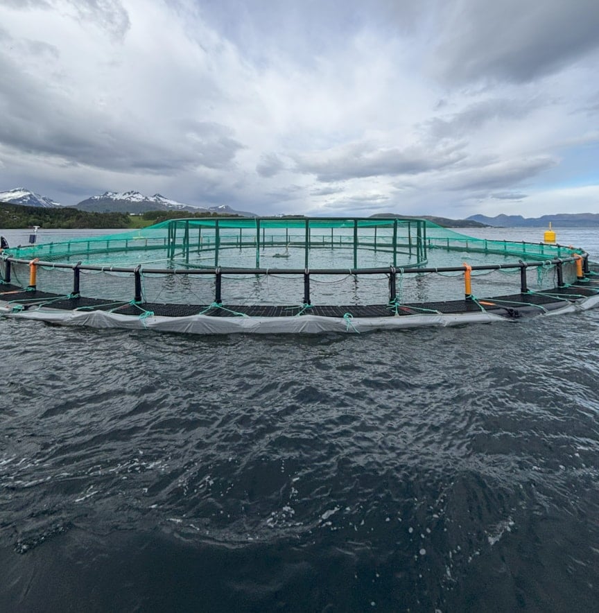 Open pen fish farm