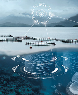 Advanced analytics in aquaculture 