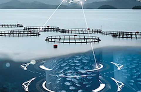 Advanced analytics in aquaculture