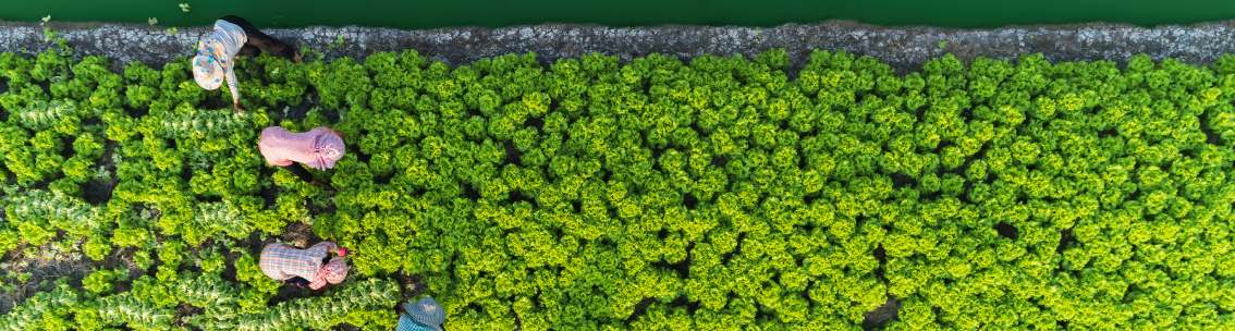 Can investing in climate resilience mitigate a humanitarian crisis?