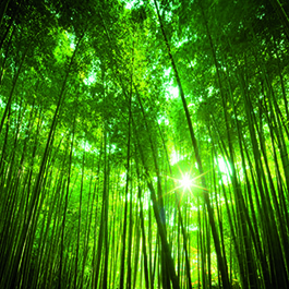 Norske Skog uses Synergi Life Risk Management and QHSE software