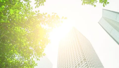 Corporate Sustainability Reporting Directive (CSRD)