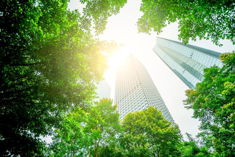 Corporate Sustainability Reporting Directive (CSRD)