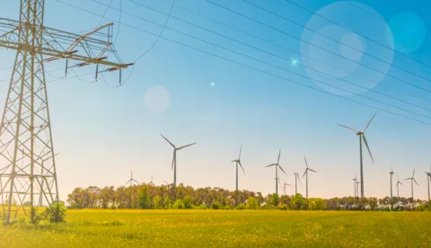 Biodiversity and Environment