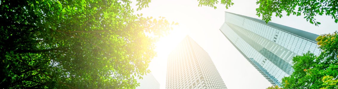 Corporate Sustainability Reporting Directive (CSRD)