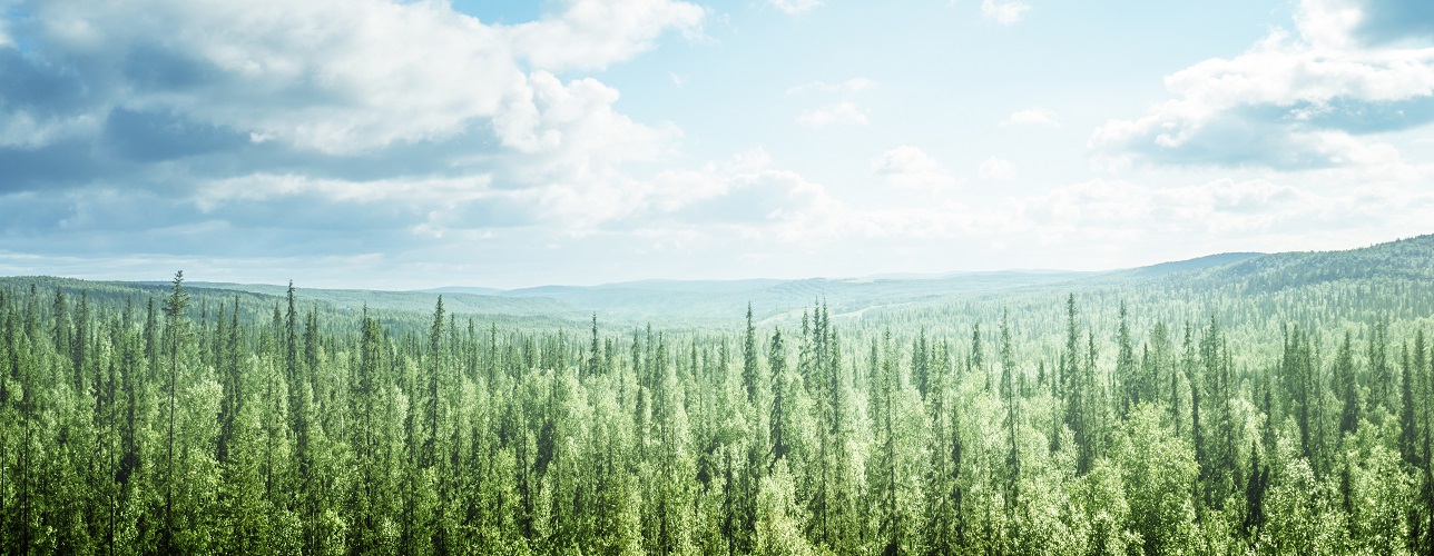 ISO 14001:2026 has now been published