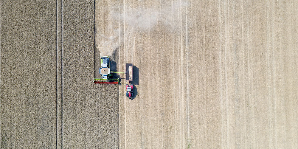 FSSC 22000 – Food safety system certification scheme