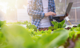 FSSC 22000 version 6 Implementor Training Course e-learning