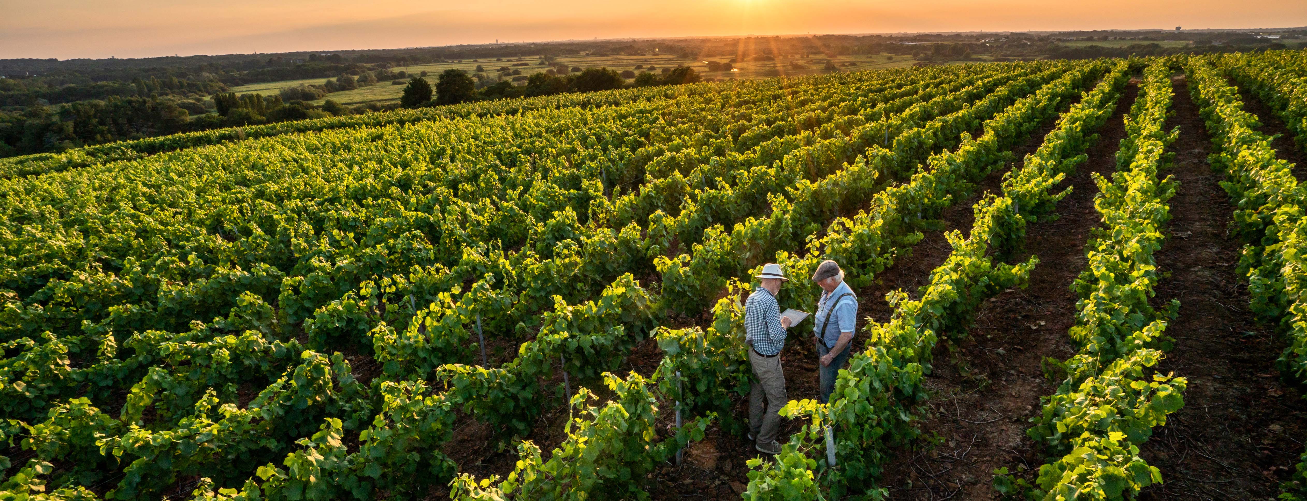 Building consumer trust in a digital world