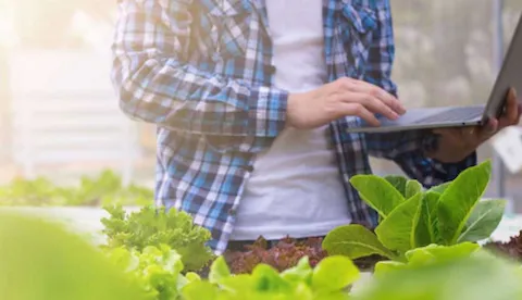 Information and cyber-security