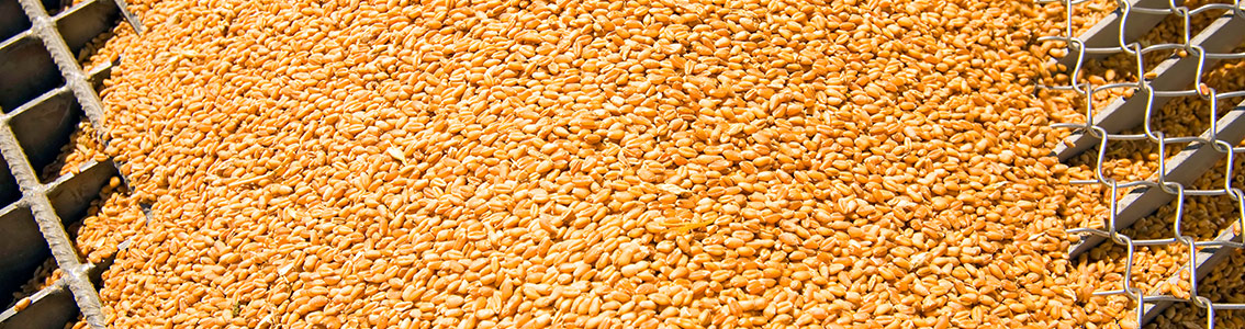 GLOBAL G.A.P. Compound Feed Manufacturing