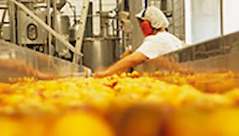 HACCP
