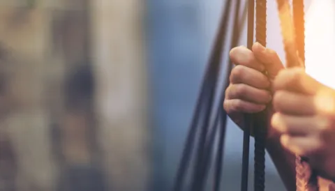 Human rights due diligence services