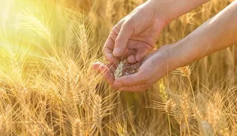 Our flyers, brochures & publications