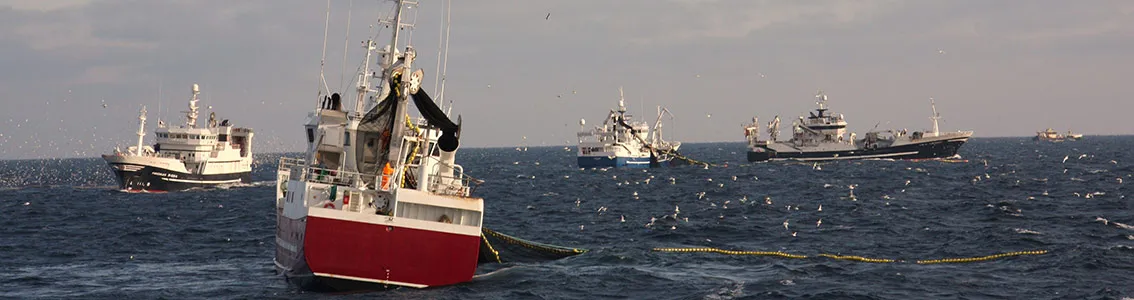 MSC Principles and Criteria for Sustainable Fishing