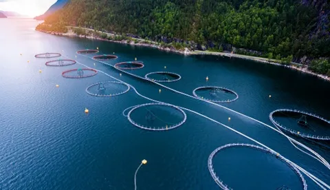 Sustainable Aquaculture