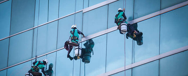 Espresso survey - Occupational Health and Safety audit findings snapshot