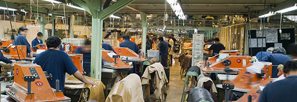 Social and ethical management