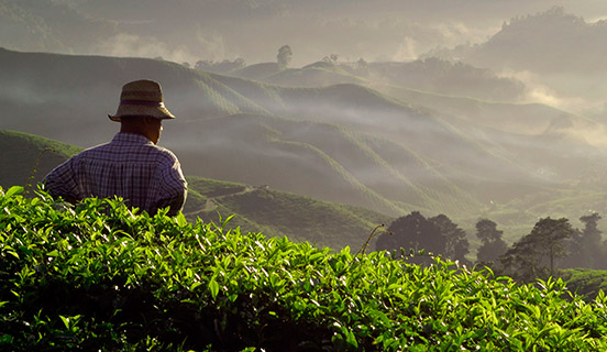 Supplier qualification and monitoring