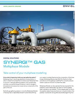 Synergi Gas Multiphase flier
