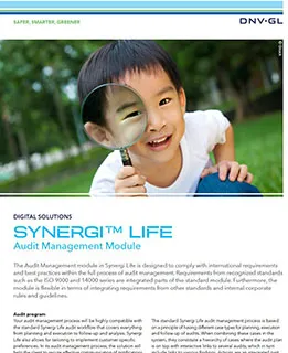 Synergi Life Audit Management module flier