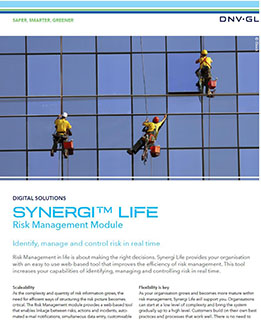 Synergi Life Risk Management module flier