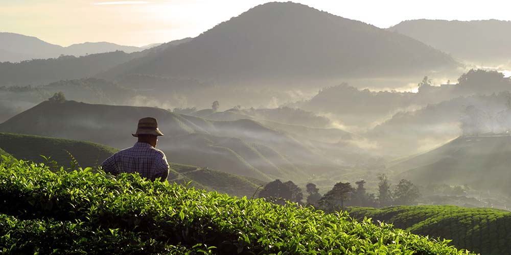 Third party risk management software from DNV GL