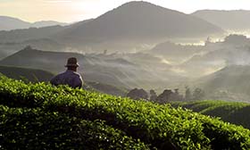 Synergi Life - Third Party Management risk software