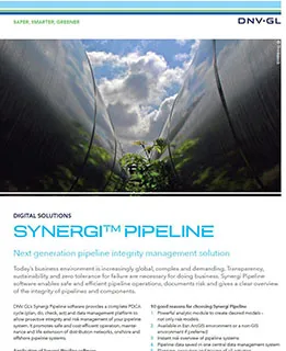Synergi Pipeline - flier