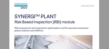 Synergi Plant - RBI flier