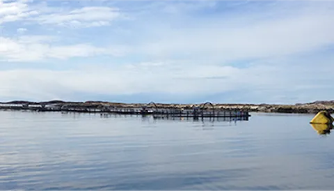 Technical aquaculture services