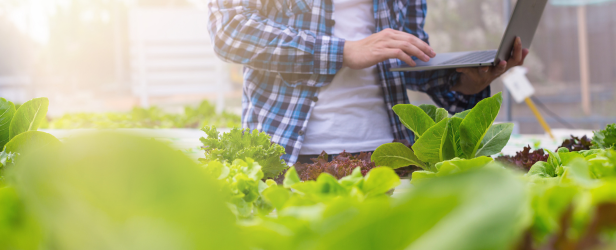 FSSC 22000 version 6 transition.